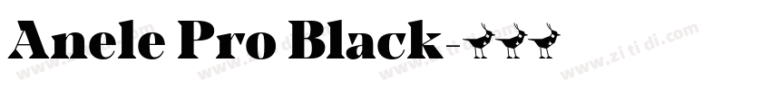 Anele Pro Black字体转换
